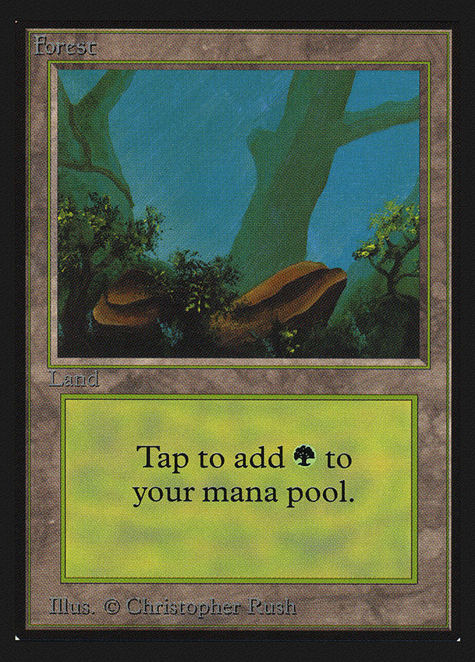 Forest (Two Stones) [International Collectors' Edition] | Lots Moore NSW