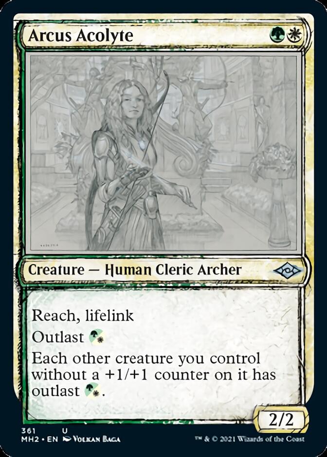 Arcus Acolyte (Sketch) [Modern Horizons 2] | Lots Moore NSW