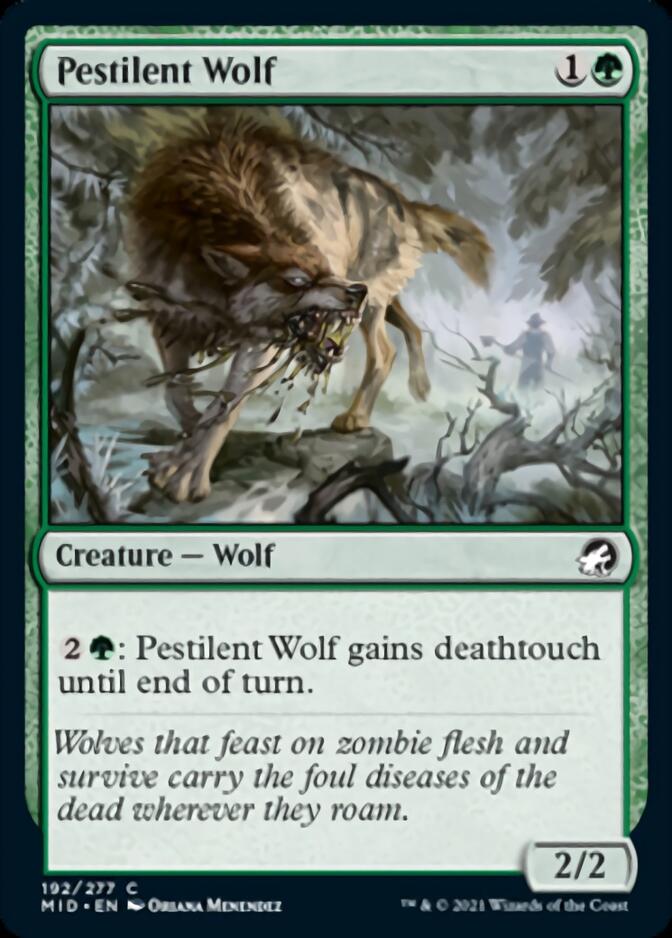 Pestilent Wolf [Innistrad: Midnight Hunt] | Lots Moore NSW