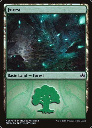 Forest - Golgari (A06) [GRN Ravnica Weekend] | Lots Moore NSW