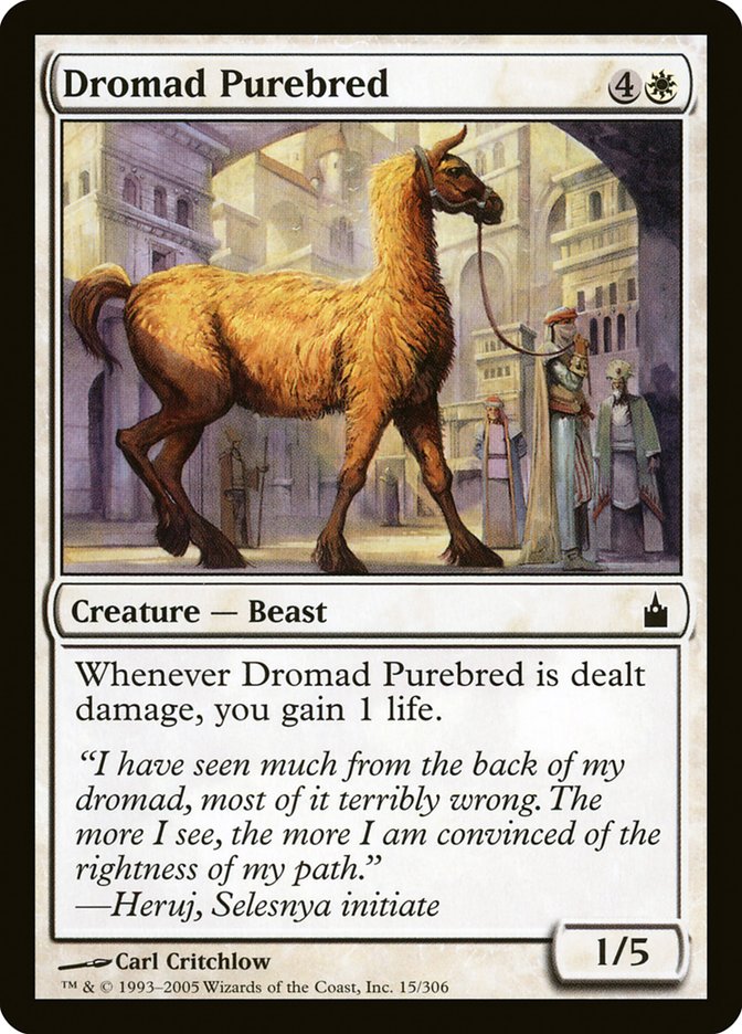 Dromad Purebred [Ravnica: City of Guilds] | Lots Moore NSW