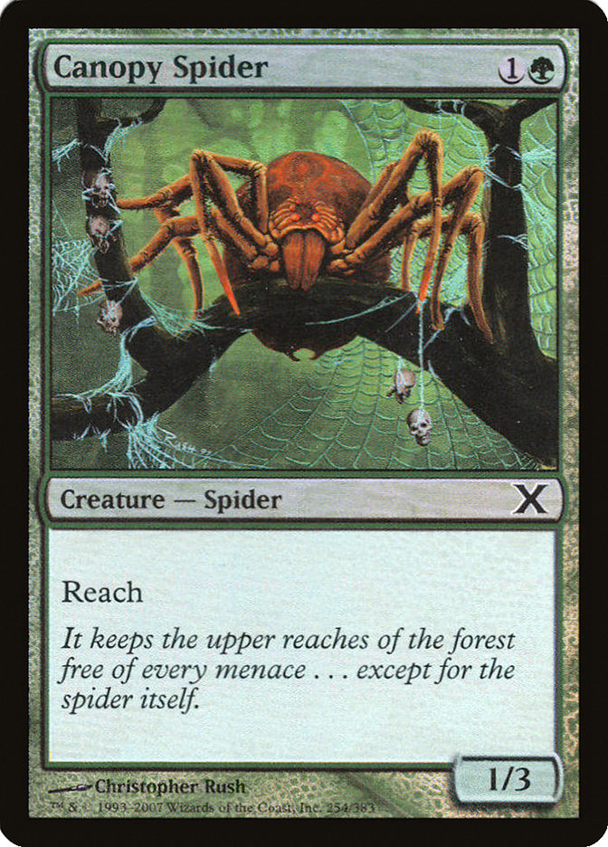 Canopy Spider (Premium Foil) [Tenth Edition] | Lots Moore NSW