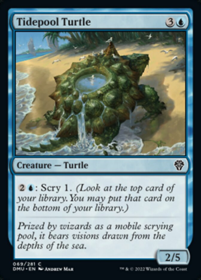 Tidepool Turtle [Dominaria United] | Lots Moore NSW