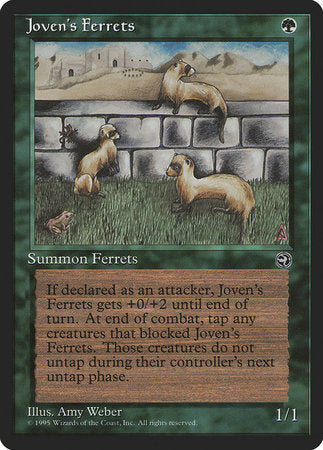 Joven's Ferrets [Homelands] | Lots Moore NSW