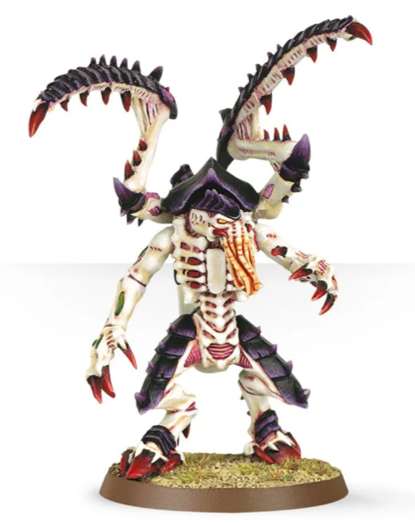 Lictor | Lots Moore NSW