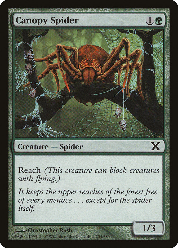 Canopy Spider [Tenth Edition] | Lots Moore NSW