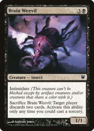 Brain Weevil [Innistrad] | Lots Moore NSW