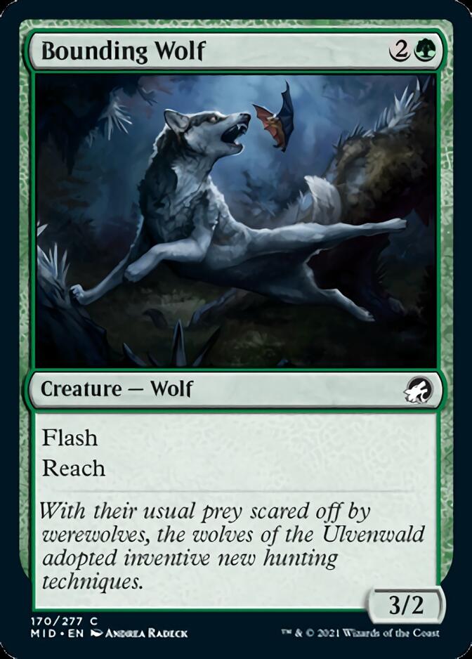 Bounding Wolf [Innistrad: Midnight Hunt] | Lots Moore NSW