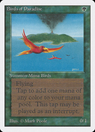 Birds of Paradise [Unlimited Edition] | Lots Moore NSW