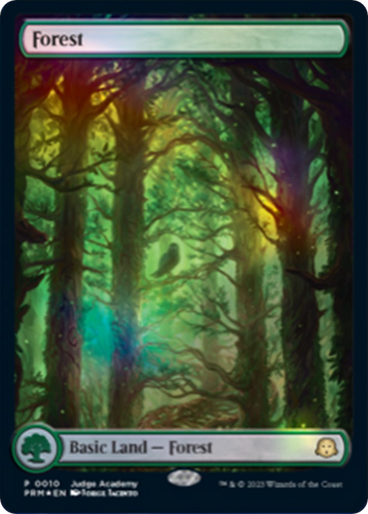 Forest [Judge Gift Cards 2023] | Lots Moore NSW