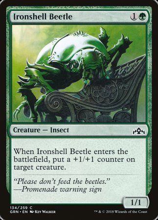 Ironshell Beetle [Guilds of Ravnica] | Lots Moore NSW