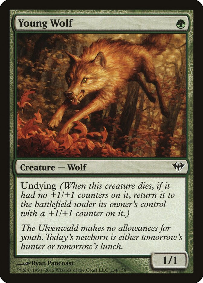 Young Wolf [Dark Ascension] | Lots Moore NSW