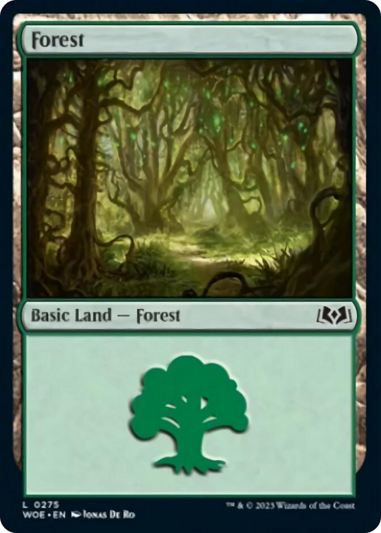 Forest (0275) [Wilds of Eldraine] | Lots Moore NSW