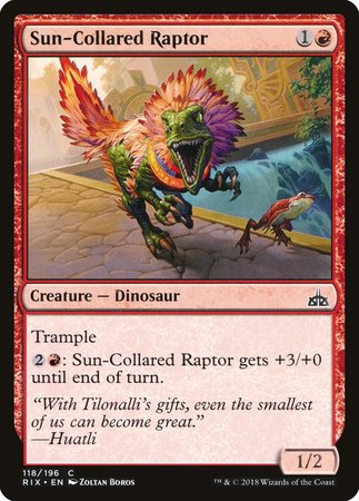 Sun-Collared Raptor [Rivals of Ixalan] | Lots Moore NSW