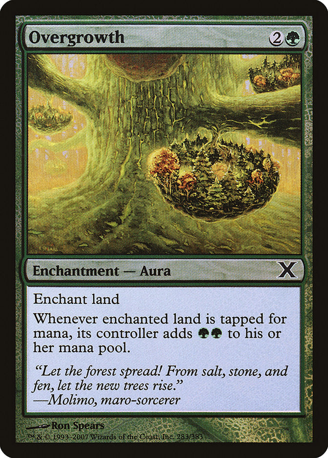 Overgrowth (Premium Foil) [Tenth Edition] | Lots Moore NSW