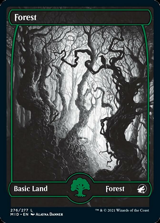 Forest (276) [Innistrad: Midnight Hunt] | Lots Moore NSW