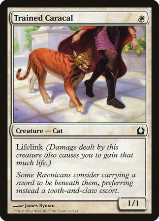 Trained Caracal [Return to Ravnica] | Lots Moore NSW