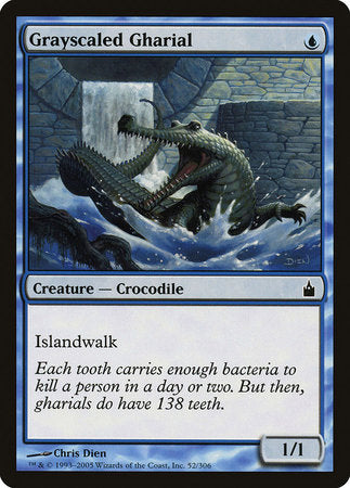 Grayscaled Gharial [Ravnica: City of Guilds] | Lots Moore NSW