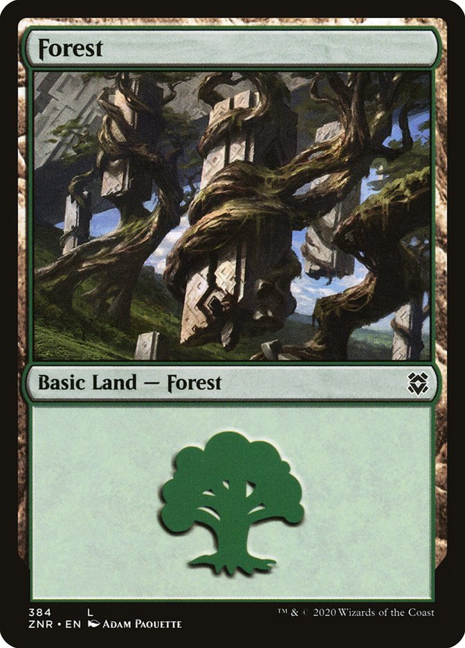 Forest (384) [Zendikar Rising] | Lots Moore NSW