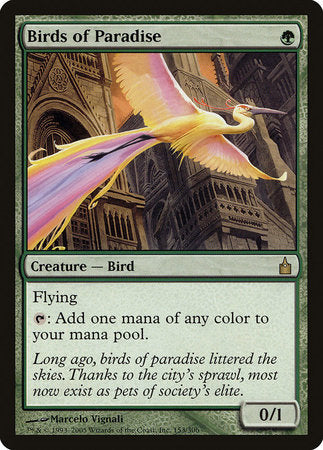 Birds of Paradise [Ravnica: City of Guilds] | Lots Moore NSW