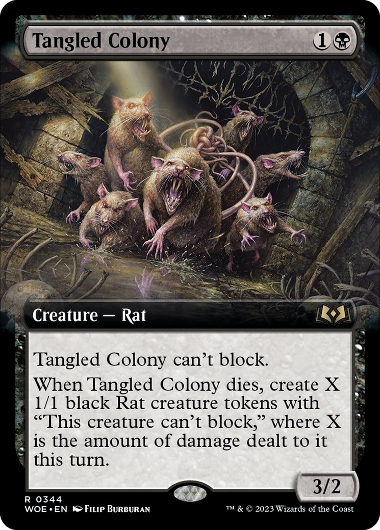 Tangled Colony (Extended Art) [Wilds of Eldraine] | Lots Moore NSW