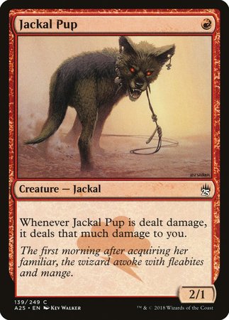 Jackal Pup [Masters 25] | Lots Moore NSW