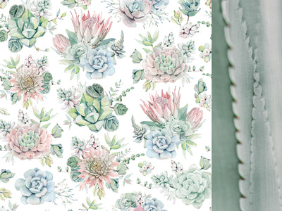 12 x 12 Scrapbooking Paper Greenhouse Succulents | Lots Moore NSW