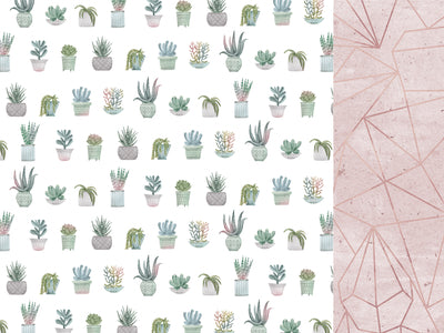 12 x 12 Scrapbooking Paper Greenhouse Aloe | Lots Moore NSW