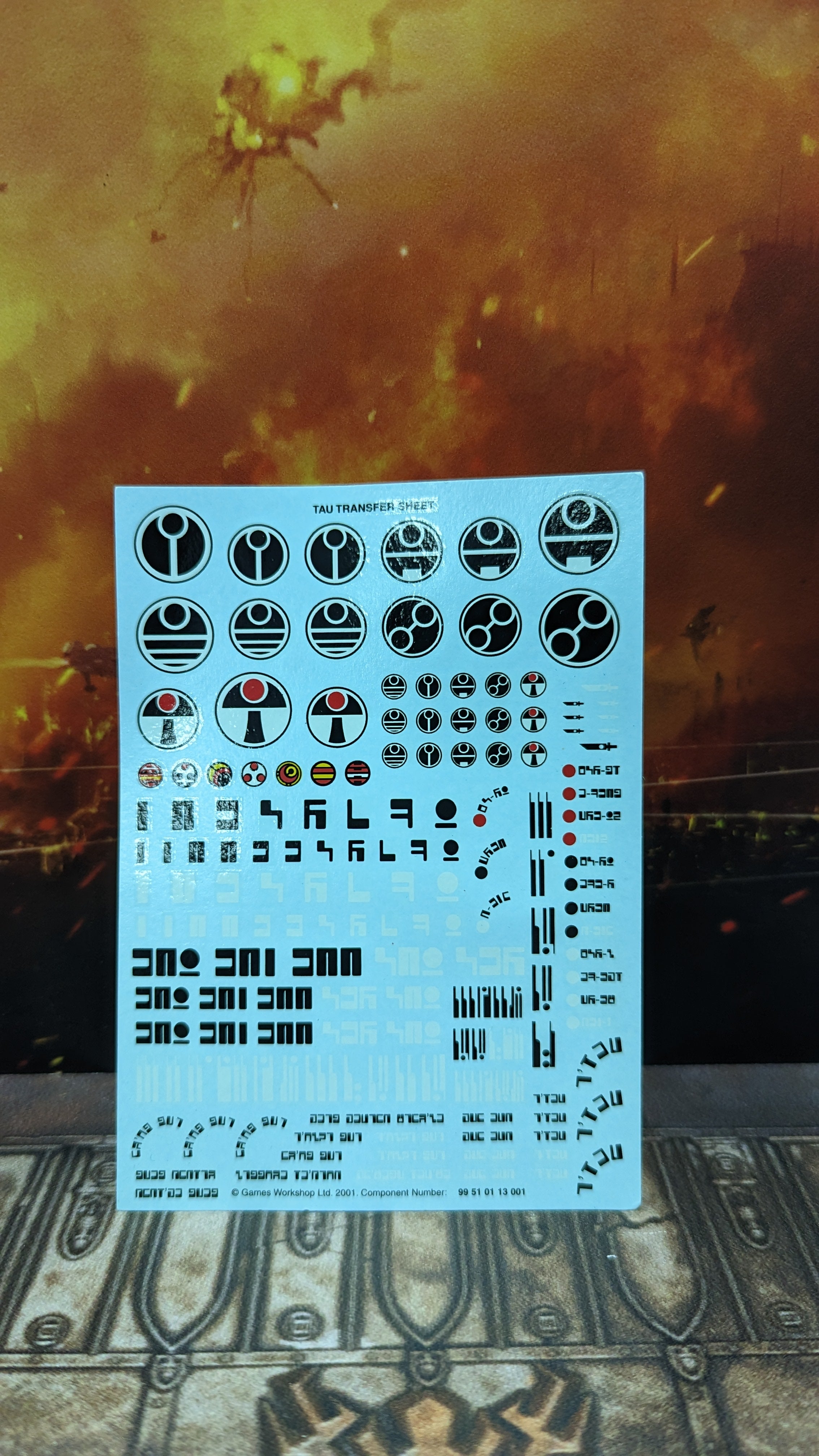 NOS Tau Transfer Sheet | Lots Moore NSW