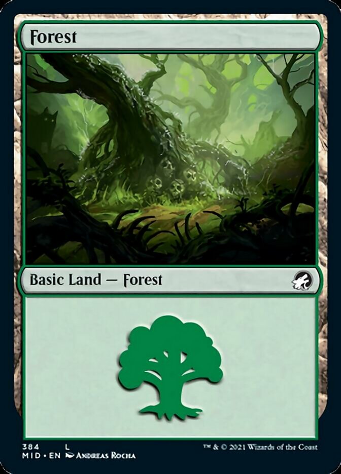 Forest (384) [Innistrad: Midnight Hunt] | Lots Moore NSW