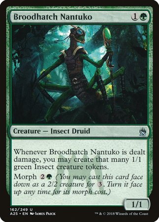 Broodhatch Nantuko [Masters 25] | Lots Moore NSW