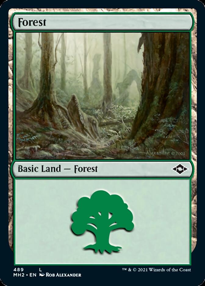 Forest (489) (Foil Etched) [Modern Horizons 2] | Lots Moore NSW