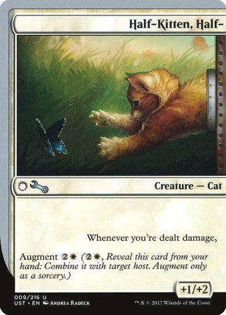 Half-Kitten, Half- [Unstable] | Lots Moore NSW