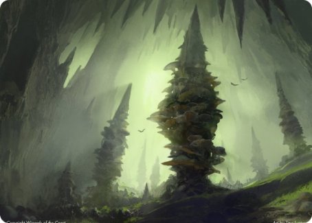 Forest (280) Art Card [Dungeons & Dragons: Adventures in the Forgotten Realms Art Series] | Lots Moore NSW