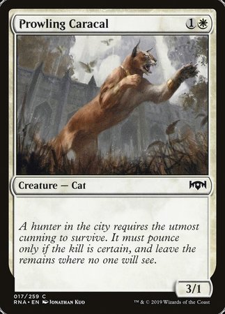 Prowling Caracal [Ravnica Allegiance] | Lots Moore NSW