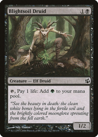 Blightsoil Druid [Morningtide] | Lots Moore NSW