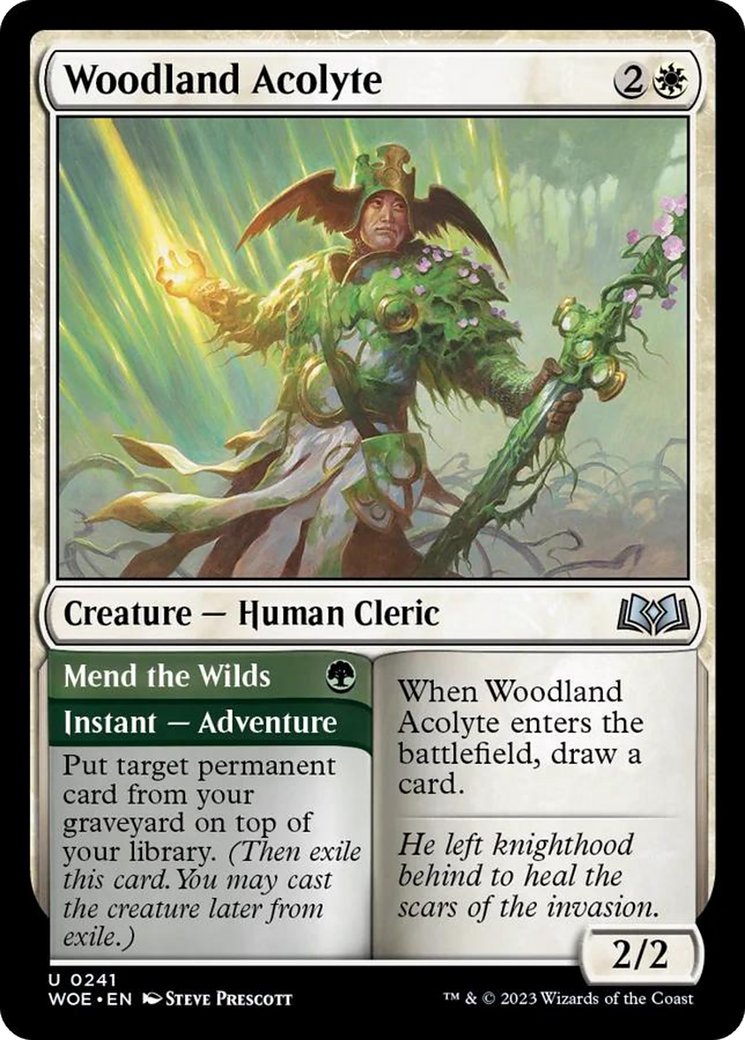 Woodland Acolyte // Mend the Wilds [Wilds of Eldraine] | Lots Moore NSW