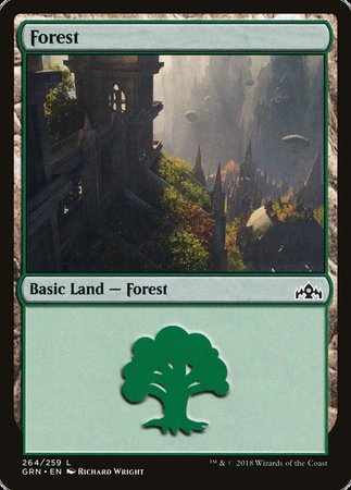 Forest [Guilds of Ravnica] | Lots Moore NSW