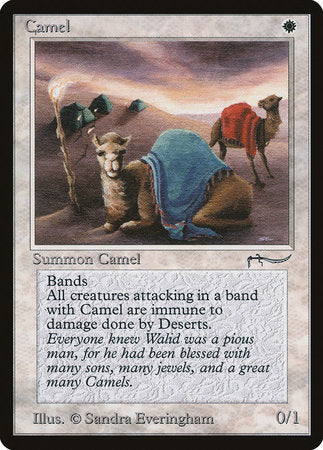 Camel [Arabian Nights] | Lots Moore NSW