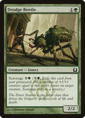 Drudge Beetle [Return to Ravnica] | Lots Moore NSW