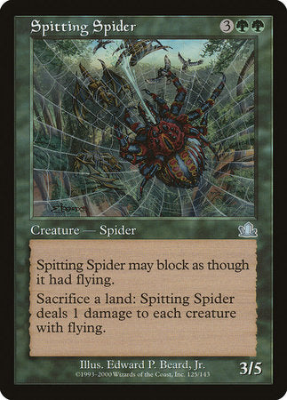 Spitting Spider [Prophecy] | Lots Moore NSW