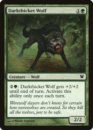 Darkthicket Wolf [Innistrad] | Lots Moore NSW