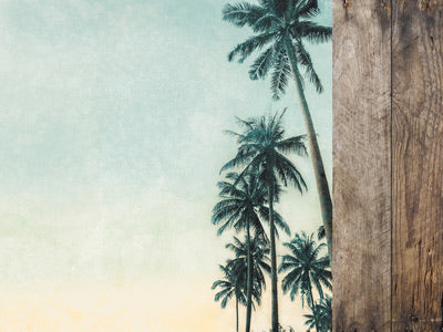 12 x 12 Scrapbooking Paper Paradise Found Palm Trees | Lots Moore NSW