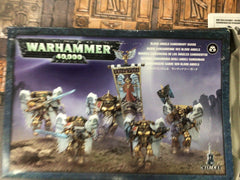 As Traded - Blood Angels Sanguinary Guard | Lots Moore NSW