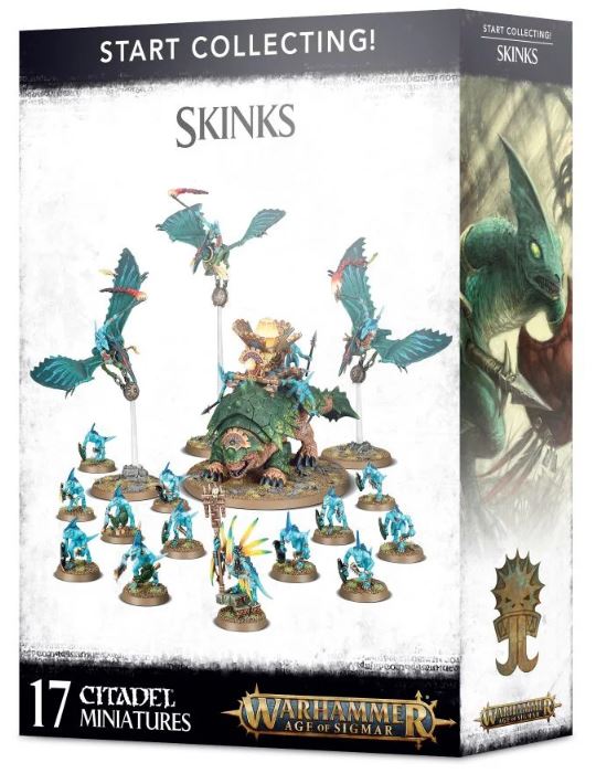 Start Collecting! Skinks | Lots Moore NSW