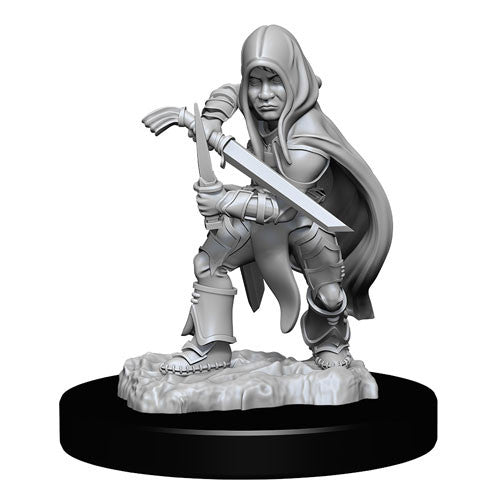 D&D Nolzurs Marvelous Unpainted Miniatures Halfling Rogue Male | Lots Moore NSW