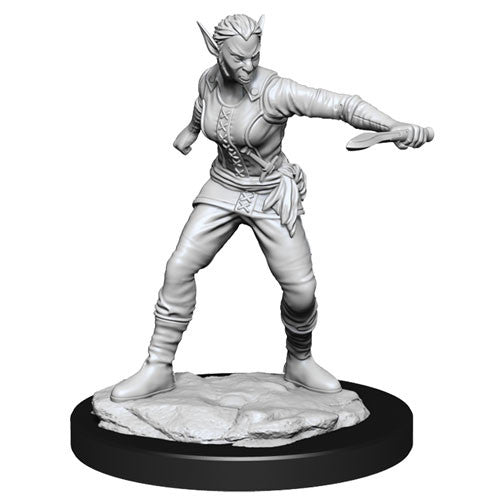 D&D Nolzurs Marvelous Unpainted Miniatures Shifter Female Rogue | Lots Moore NSW