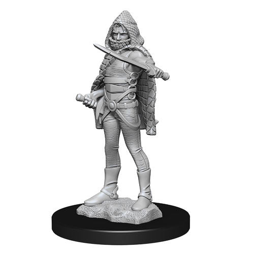 D&D Nolzurs Marvelous Unpainted Miniatures Darkling Elder & Darklings | Lots Moore NSW