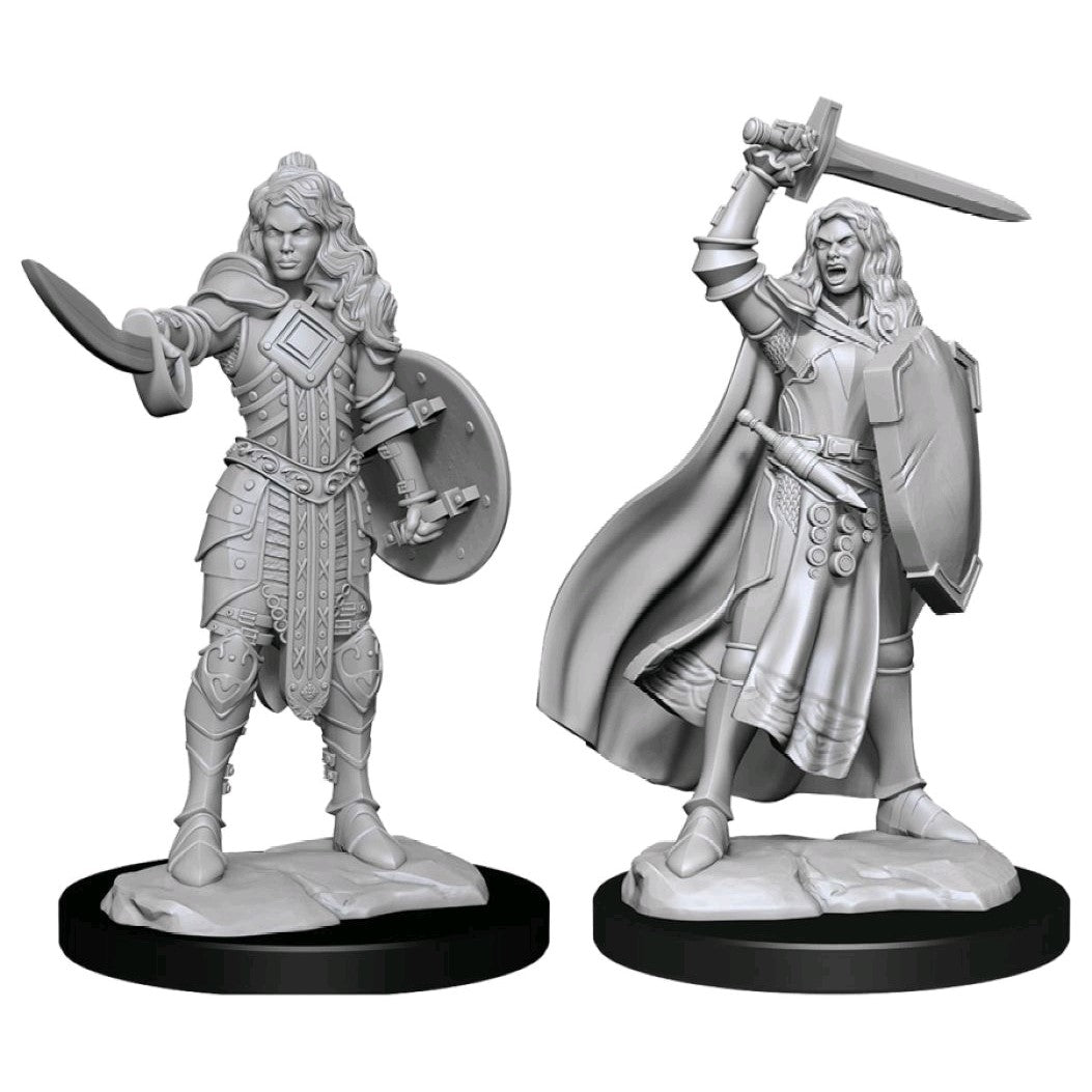Pathfinder Deepcuts Unpainted Miniatures Human Champion Female | Lots Moore NSW